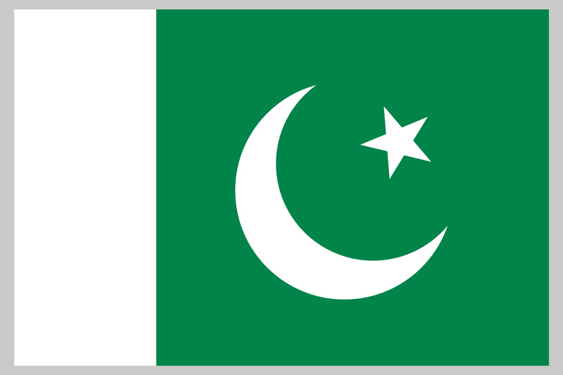 パキスタン起業物語（パキスタン国旗）